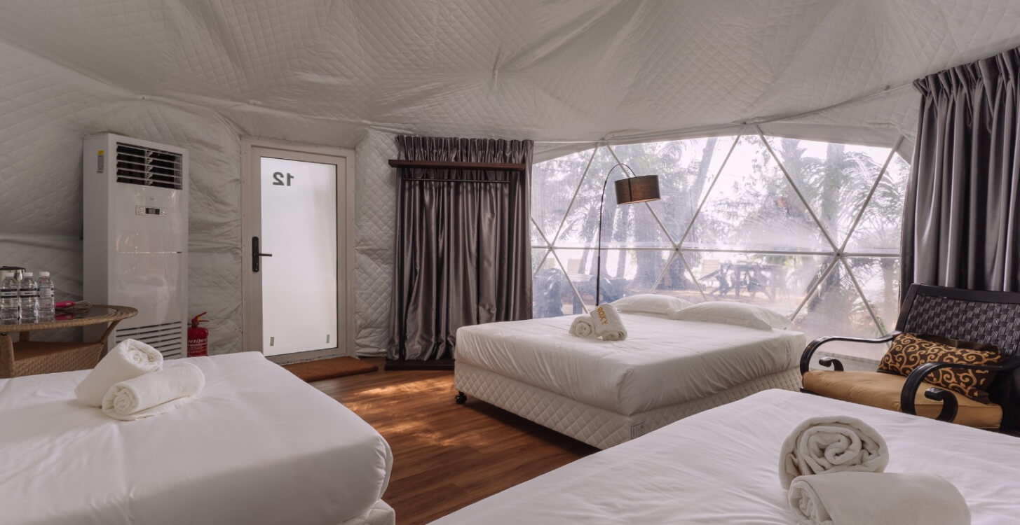 The Igloo